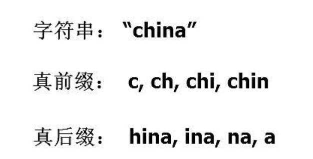 真前缀真后缀的图片